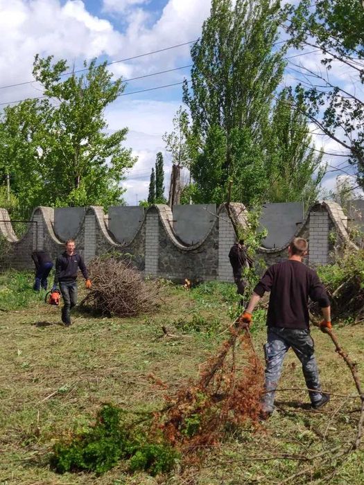 Уборка участков под ключ: покос травы, спил деревьев, обрезка веток.
