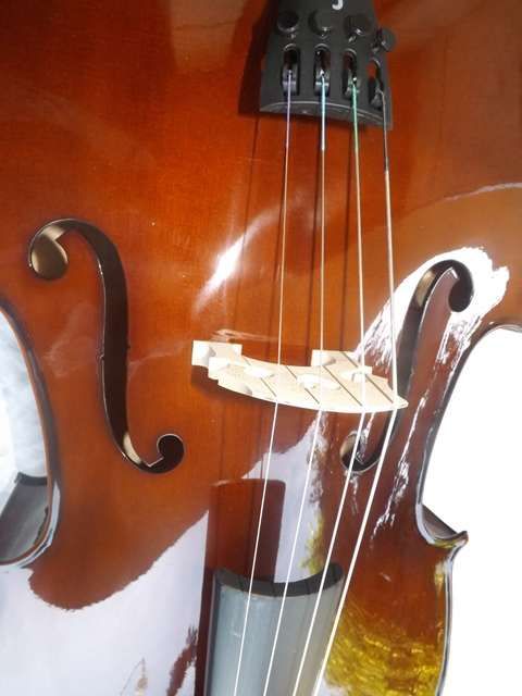 Violoncelo novo madeira Stentor