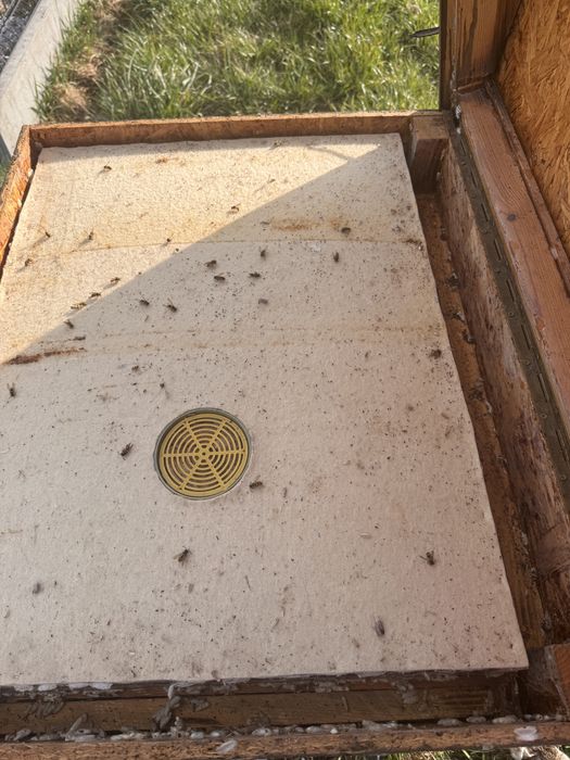 Ul typu dadant z powałką komplet