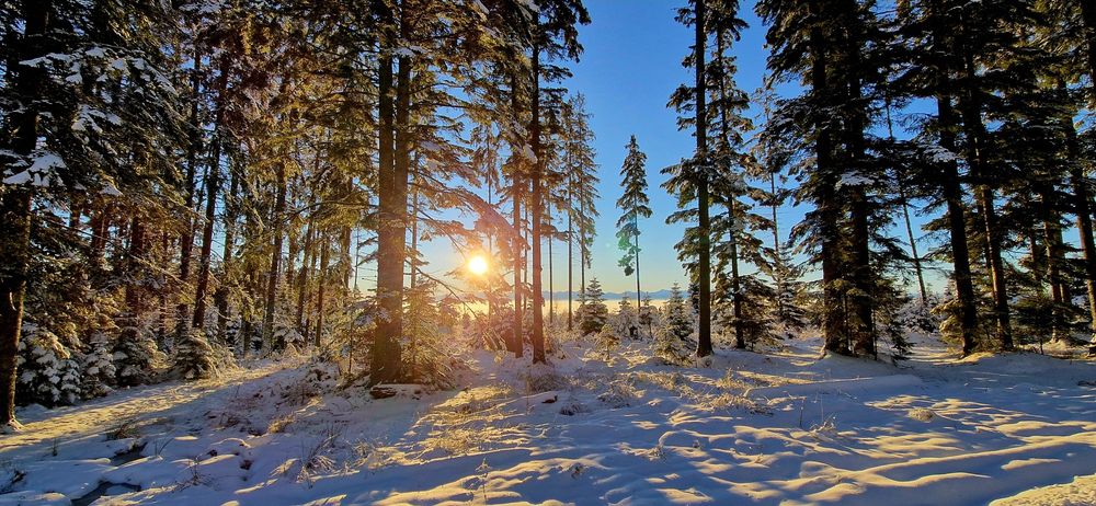 LAST MINUTE Sylwester w Chata Górska Polana Stańcowa  zwolniło się 5