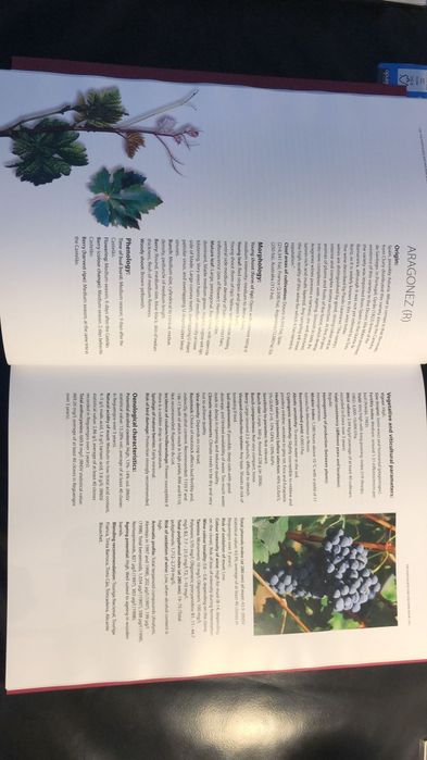 Livro de vinhos em ingles como novo
