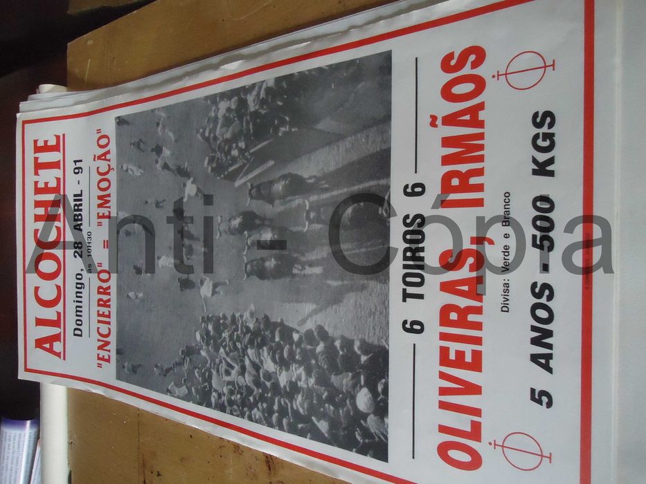 Toiros - Cartazes de Montra 8
