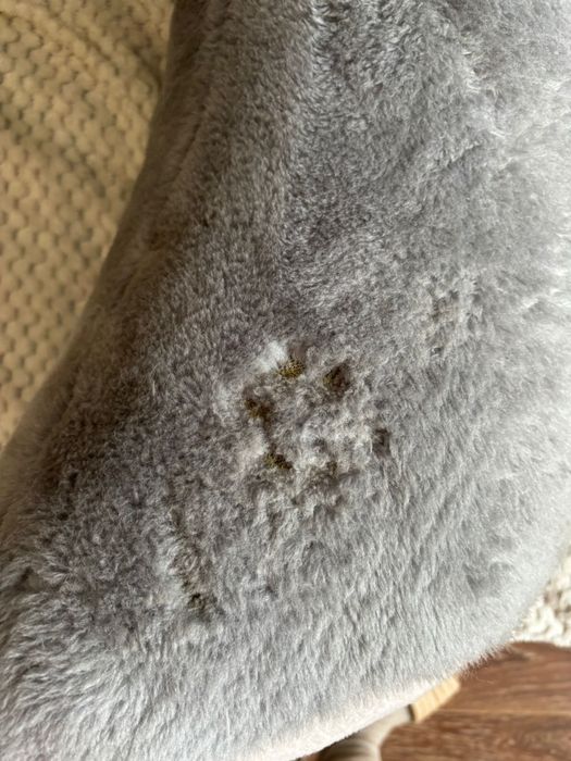 Duży miś pluszowy 2m