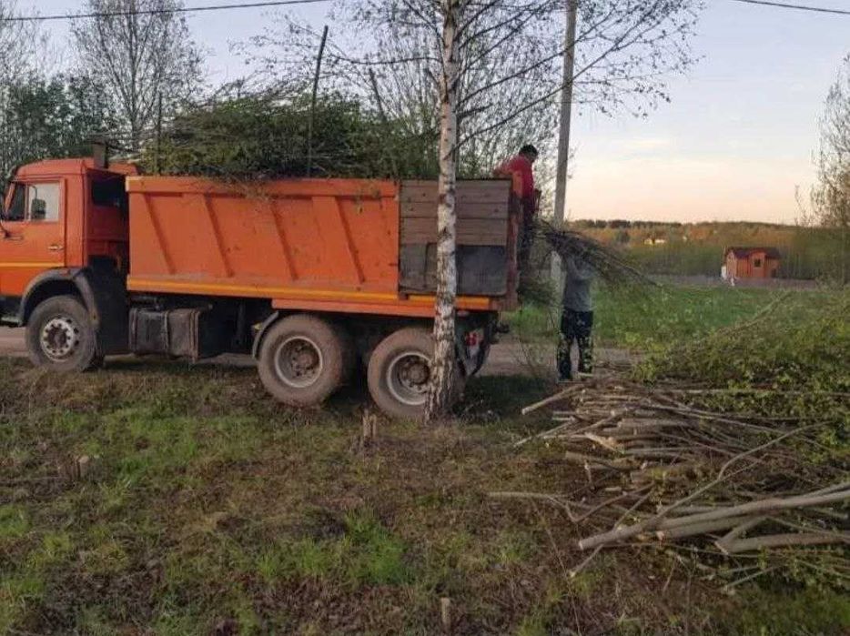Вывоз мусора, вывоз веток, вывоз хлама, вывоз строительного мусора