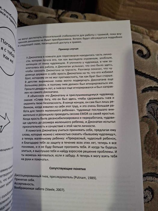 Книга Глазами травмы и диссоциации иллюстрированное руководство Полсен