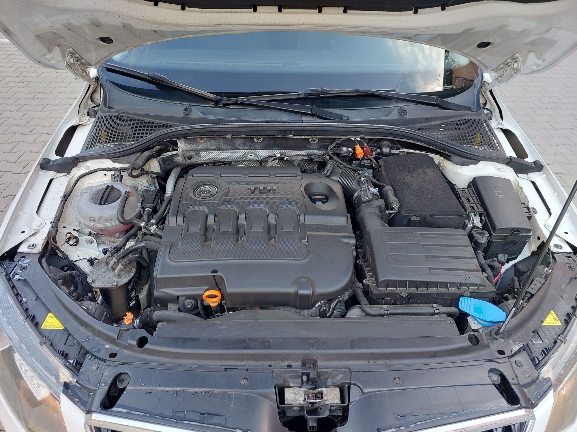 Škoda Octavia 1.6 тді