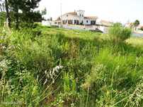 Lote de Terreno para Moradia
