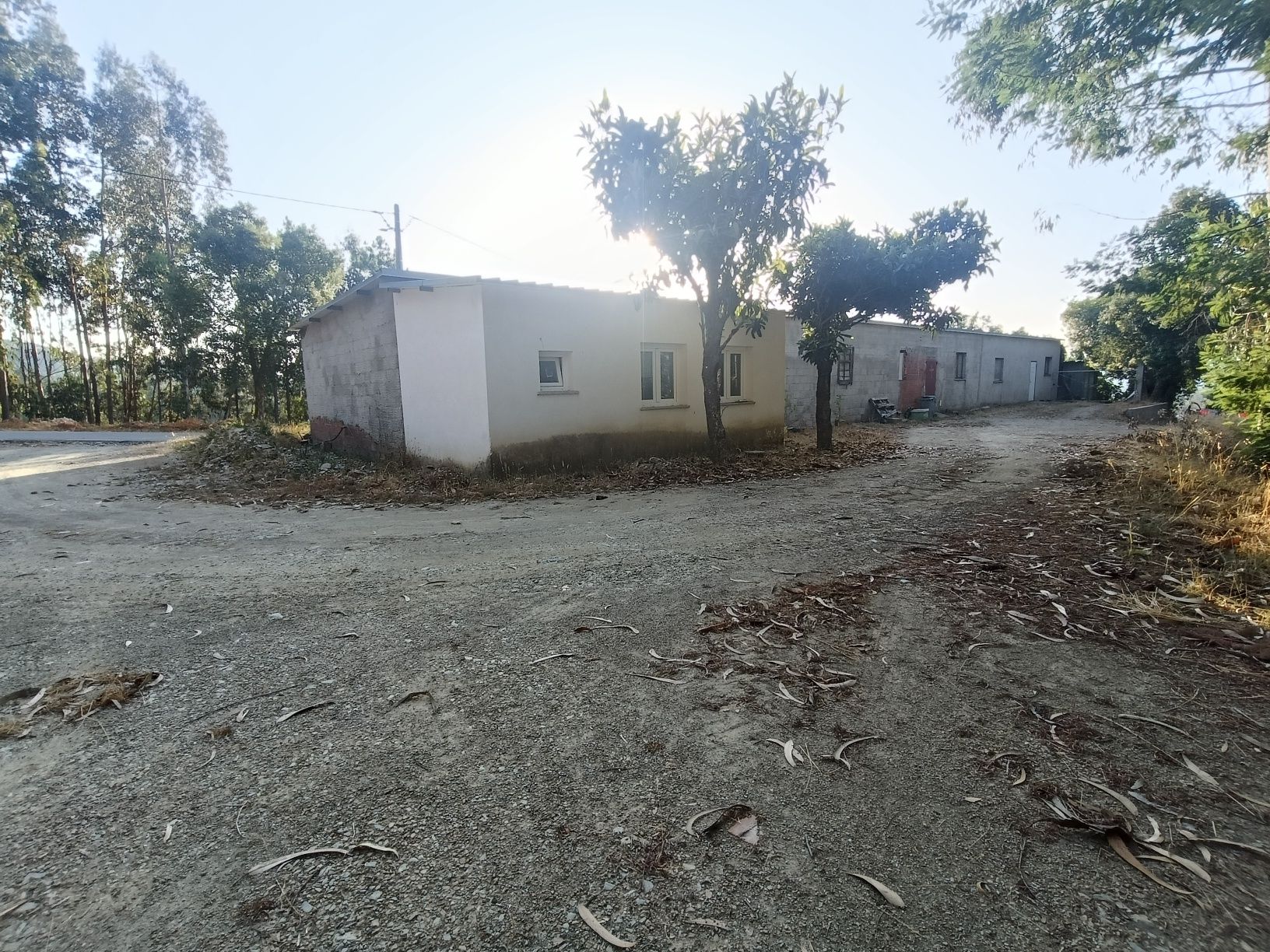 Vendo Armazém com terreno envolvente