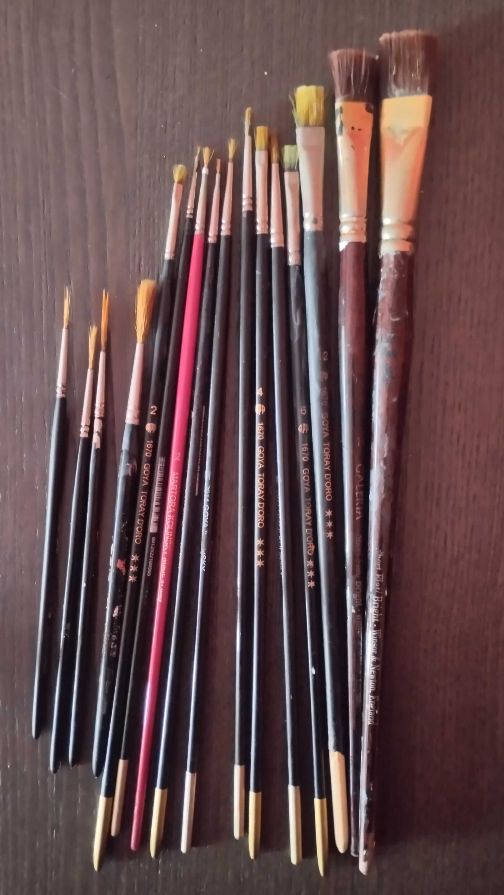 Pincéis Goya e Winsor & Newton