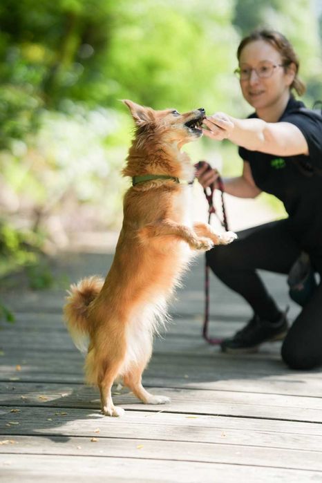 Lusia cudowna, mała dziewczynka szuka domu