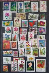 zestaw znaczków o tematyce roślin z. 61y