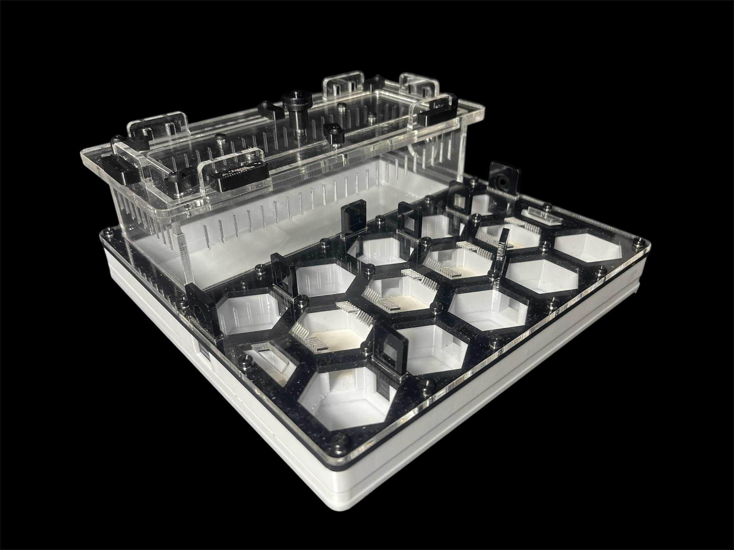 Формікарій 'Соти' 20×20см – Camponotus, Messor | 1000 грн
