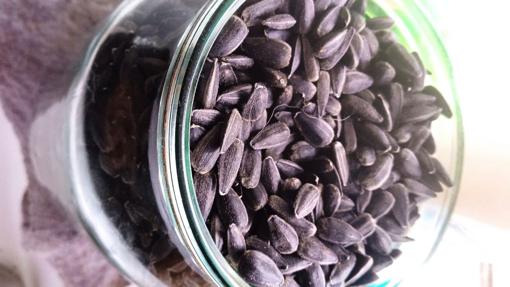 Семечки подсолнечника