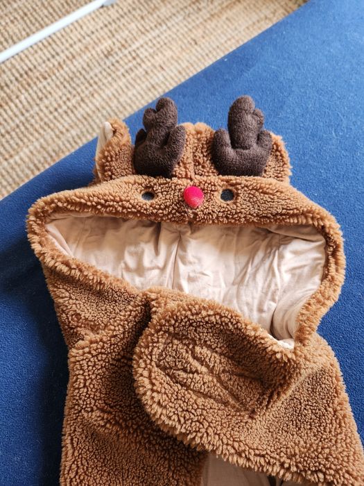 Disfarce de rena - cão