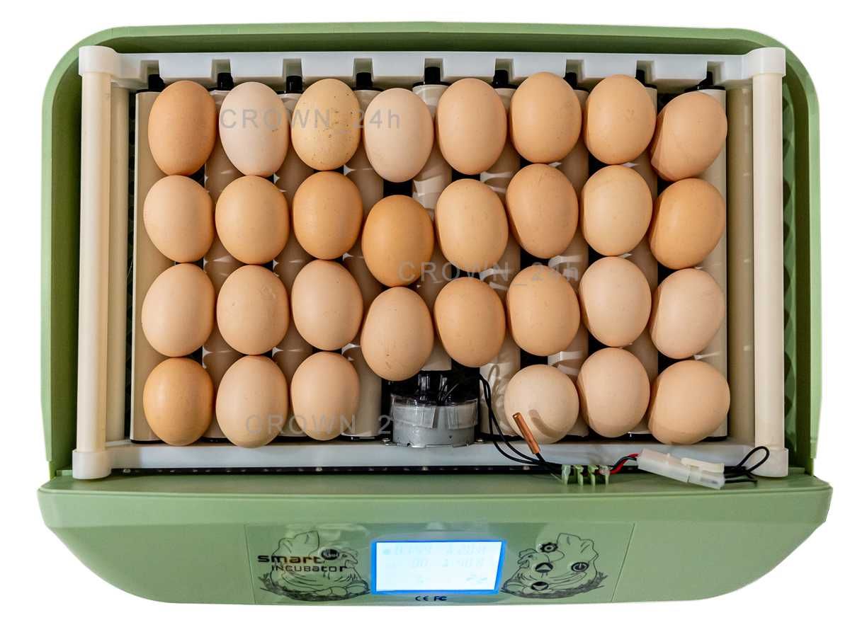 Inkubator Automat SMART 32 z mechanizmem rolkowym na każdy rodzaj jaj