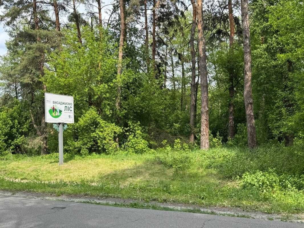 Масив землі у Воронькові для ведення бізнесу
