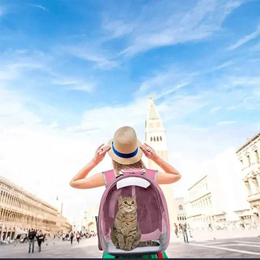 Portátil e Transparente Espaço Cápsulas, Mochila Respirável, gato