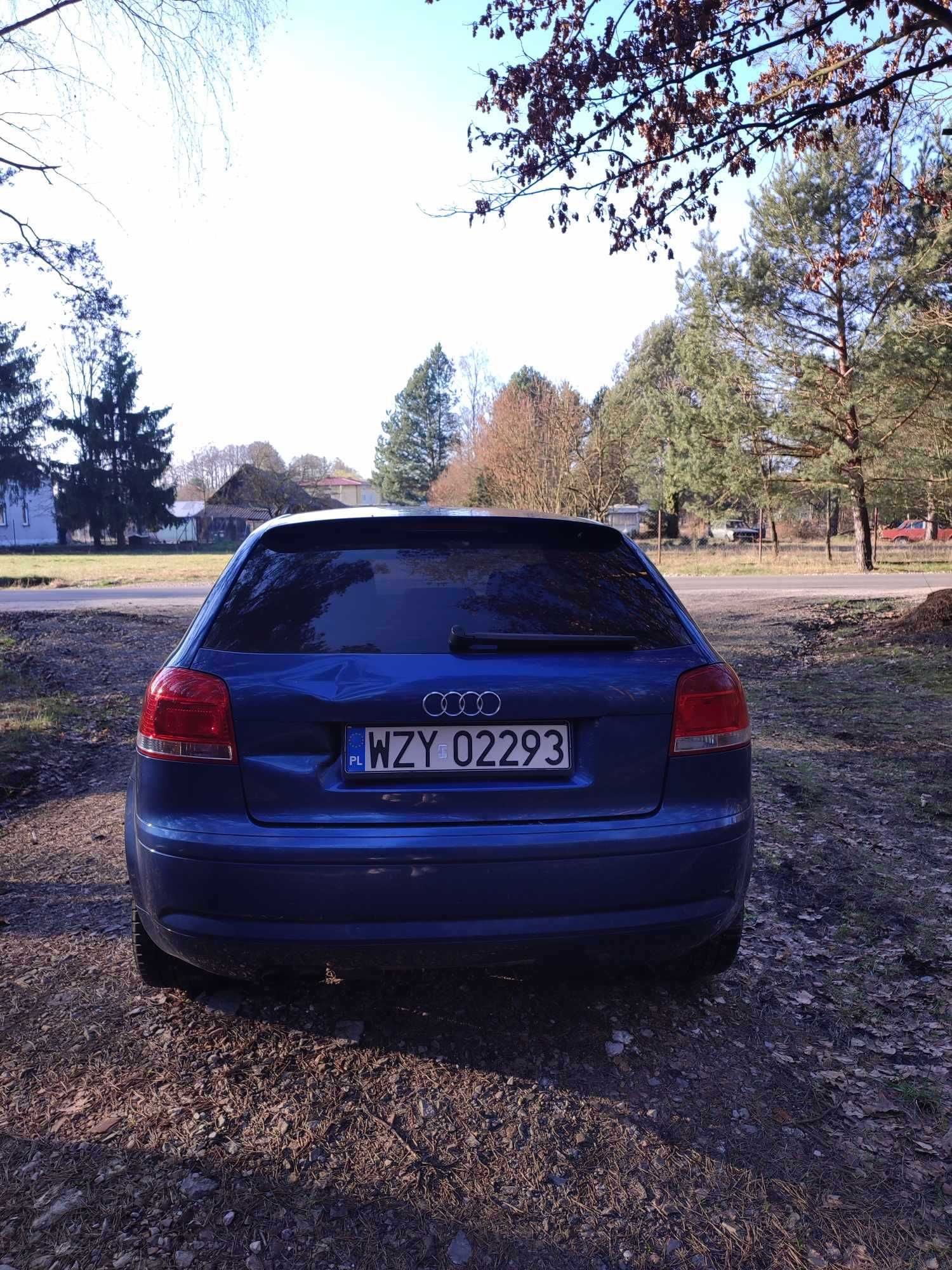 Audi A3 8P 1.9tdi 170KM