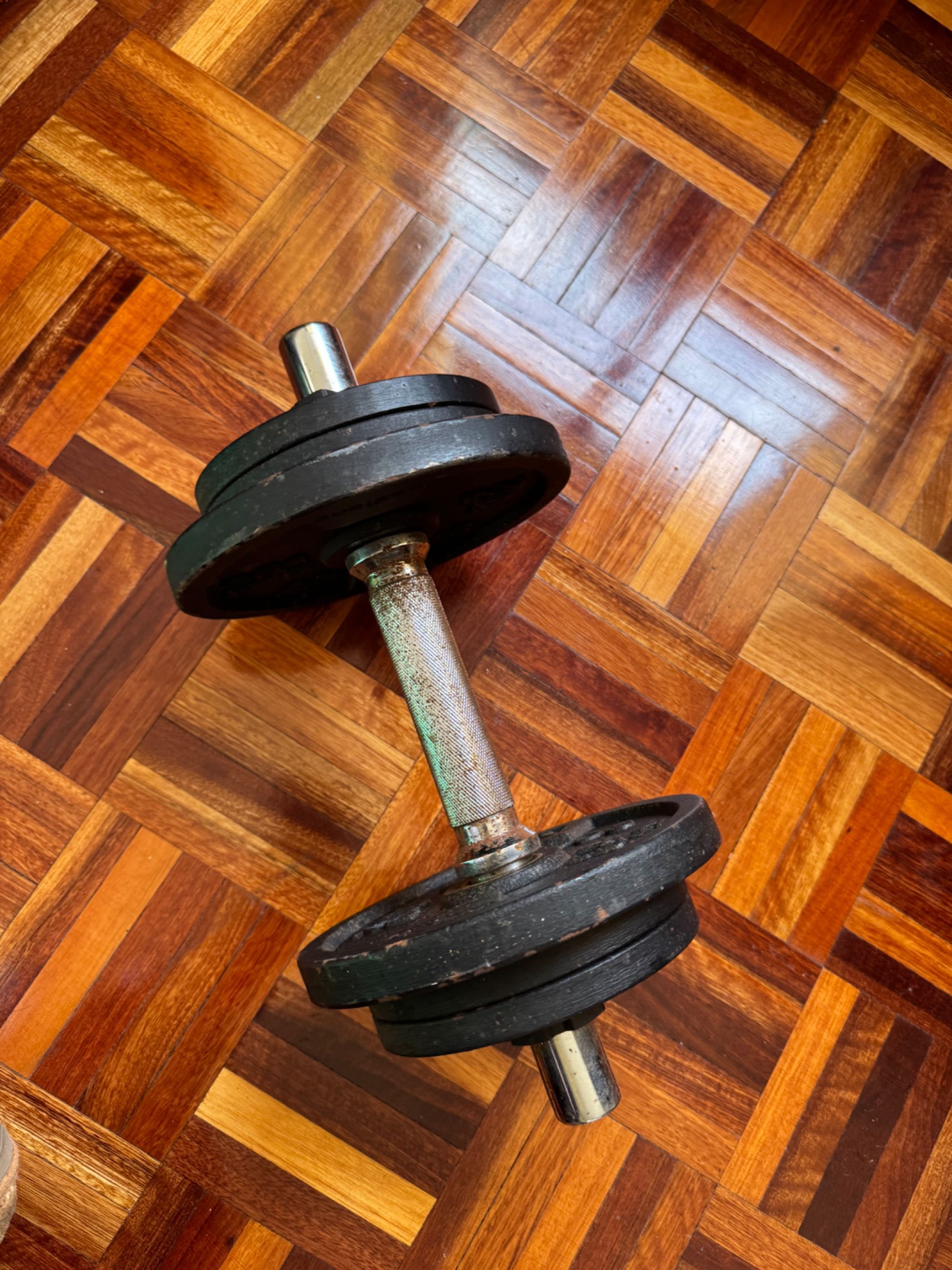 Halter 10kg decathlon