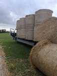 Transport bel 24szt