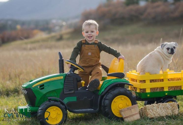 Traktorek John DEERE dla dzieci na akumulator włoski 12 V NOWY!!!