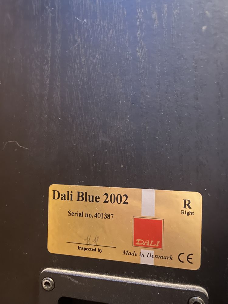 Kolumny Dali Blue 2002