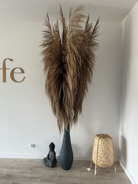 25 sztuk Trawy Pampasowe suszone XXL 210-220cm + wazon