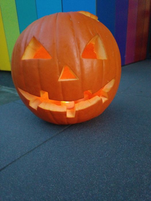 Przyjmę bezpłatnie młodą kotkę (samicę do 6 miesięcy) odrobaczoną i za