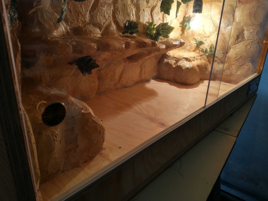 Terrarium skalne dla agamy, nowe