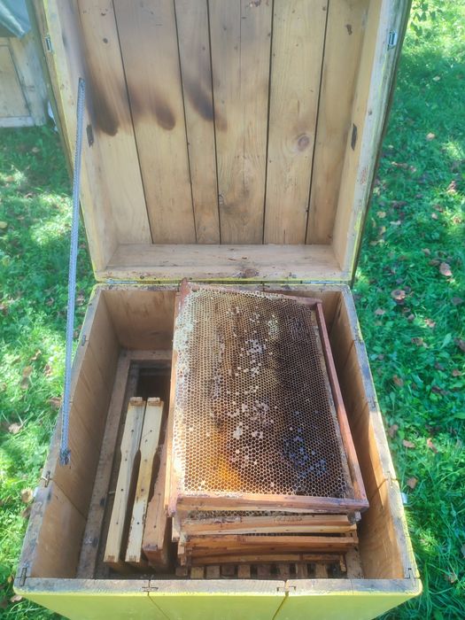 Вулики з бджолами, Бджолосімї, Вулики.