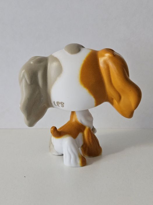 Cocker spaniel  LPS