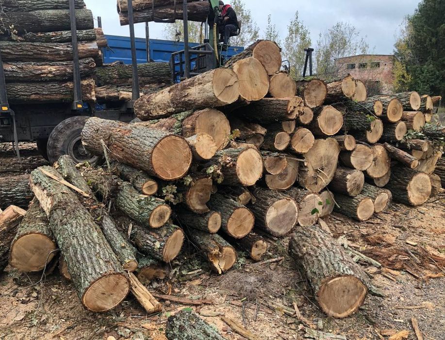 Дрова дуб без накруток. Прямий продаж. Укладено щільно. 10-12 м3