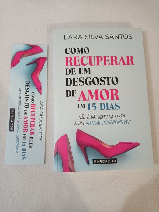 Como recuperar de um desgosto de amor em 15 dias - Lara Silva Santos
