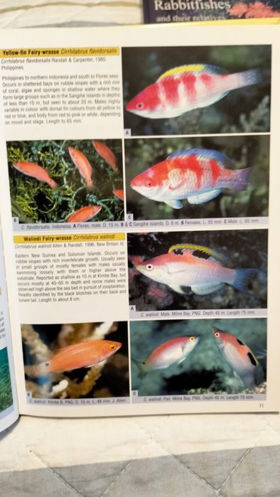 Livros aquariofilia marinha