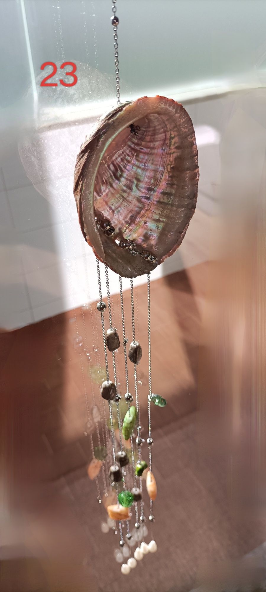 Apanhador de Sol