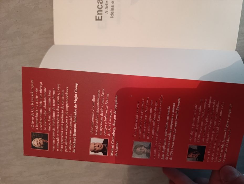 Encantamento: A arte de criar emoções, ideias e atitudes vencedoras