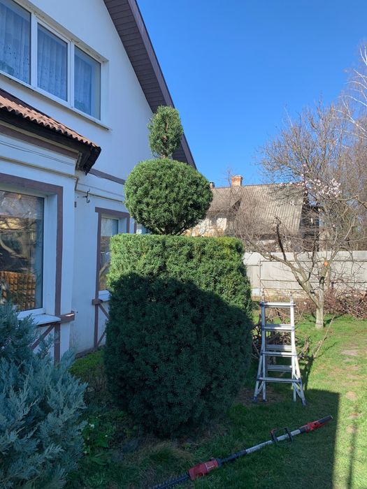 Послуги садівника, стрижки рослин