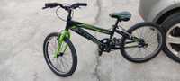 Bicicleta Team r20