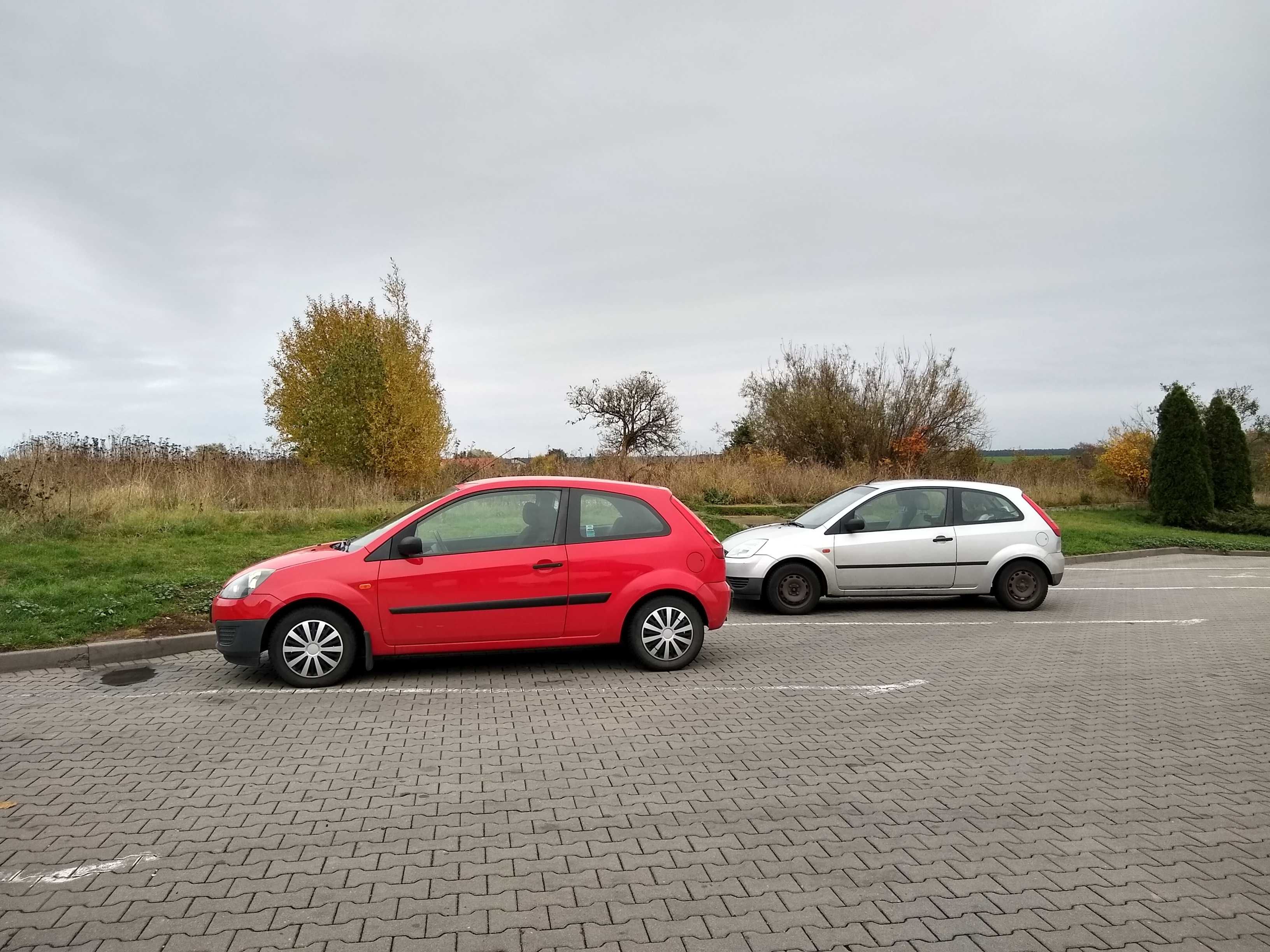 Ford Fiesta 1.4 TDCi Gold z 2007 niski przebieg