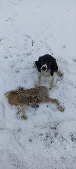 Відкритий для вязки хлопчик РМС