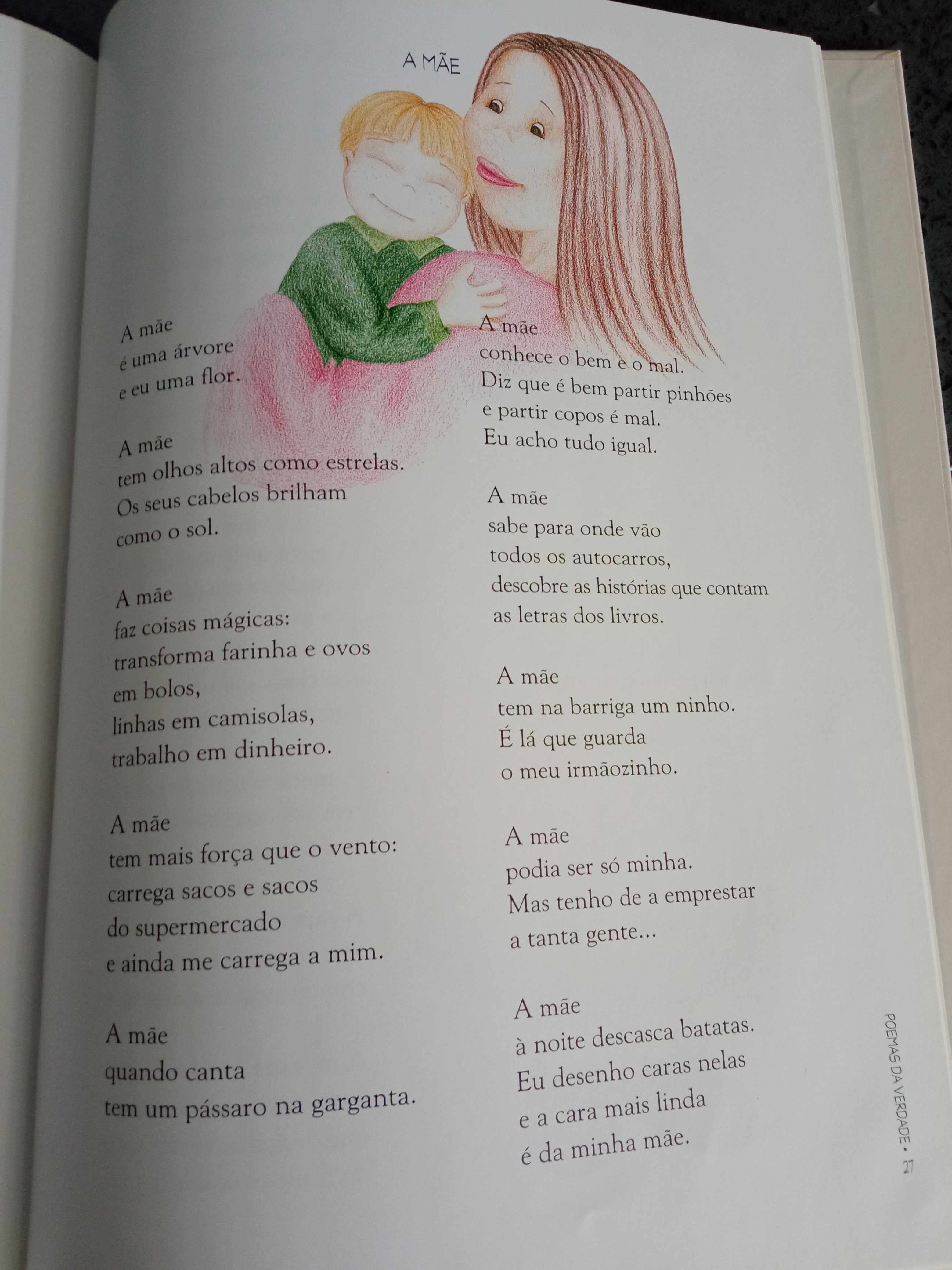 Poemas da Mentira e da Verdade - Luísa Ducla Soares