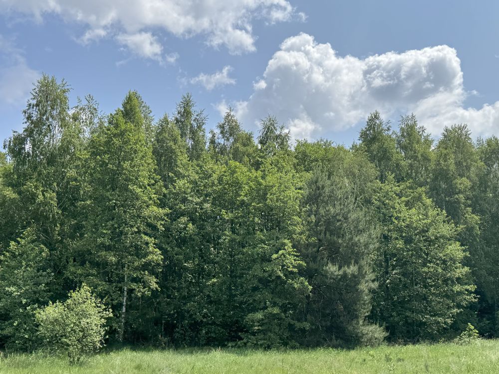 Земельна ділянка 25га.Терміново!Фасова. 35$/сотка!