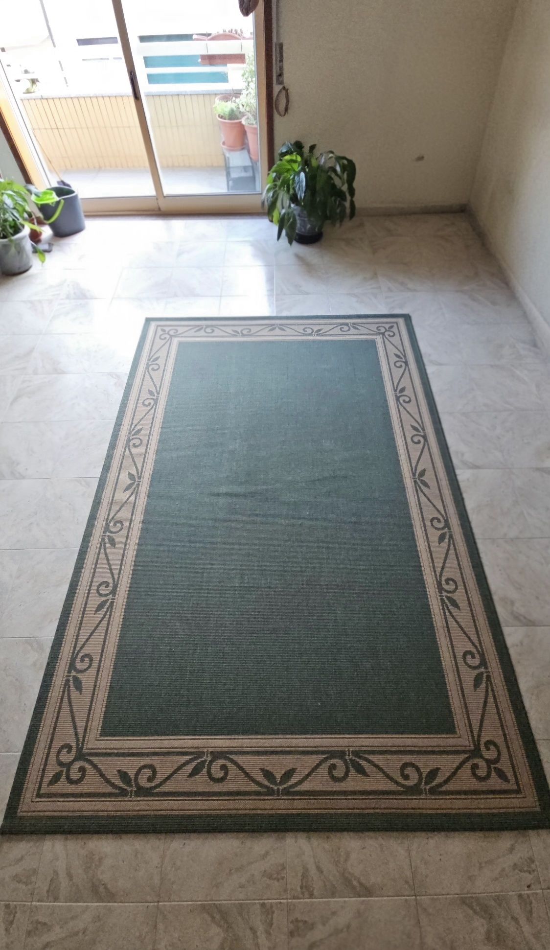 Carpetes de sala