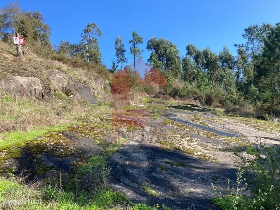 Terreno para construção, Ponte