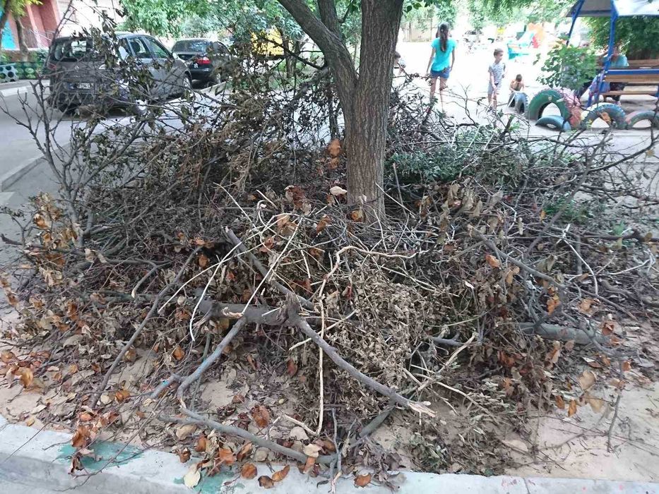 Вывоз строительного и прочего мусора.Старой мебели.Сухостоя.Хлама.