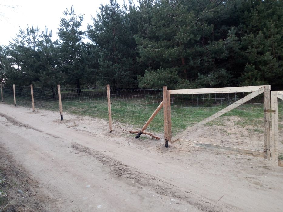 Ogrodzenie Tymczasowe Włocławek siatka leśna już 16 zl. za mb