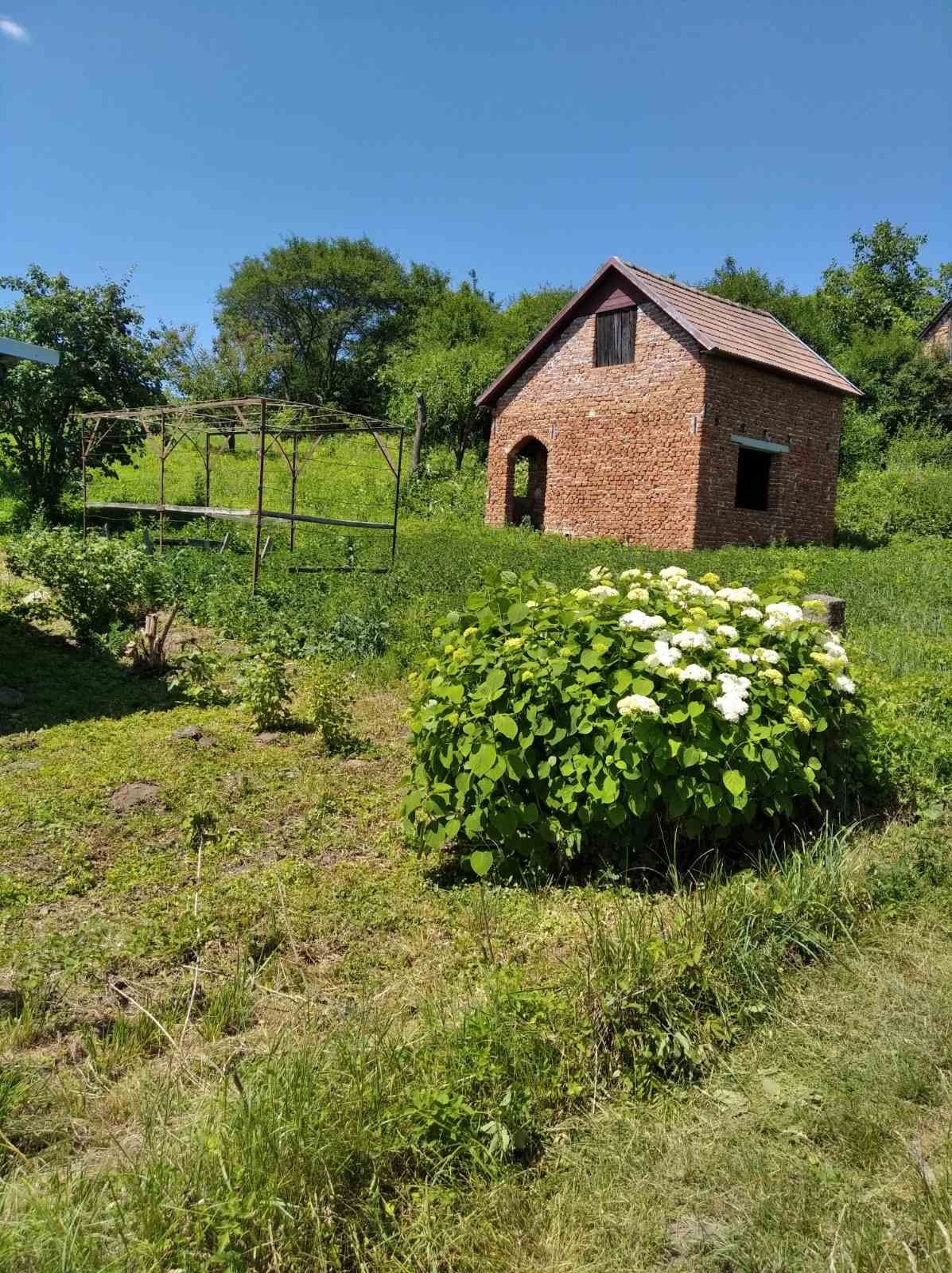 Продається дачна ділянка в місті Рогатин.