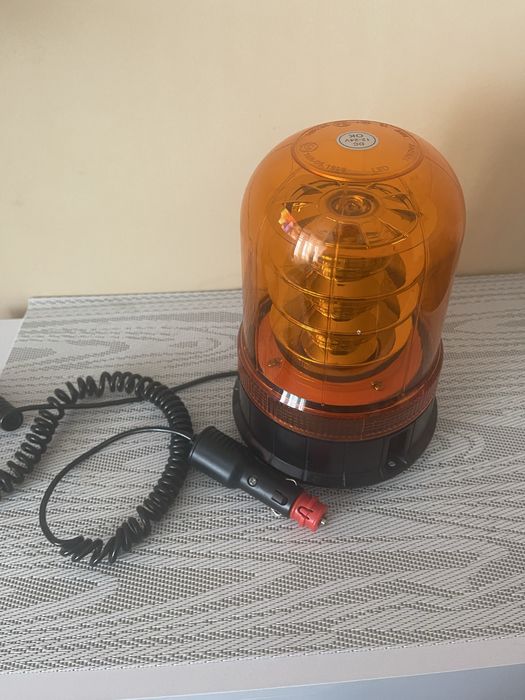 Мигалка помаранчева