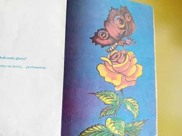 Łuszczykiewicz Włodzimierz - Koszyczek pełen pytań