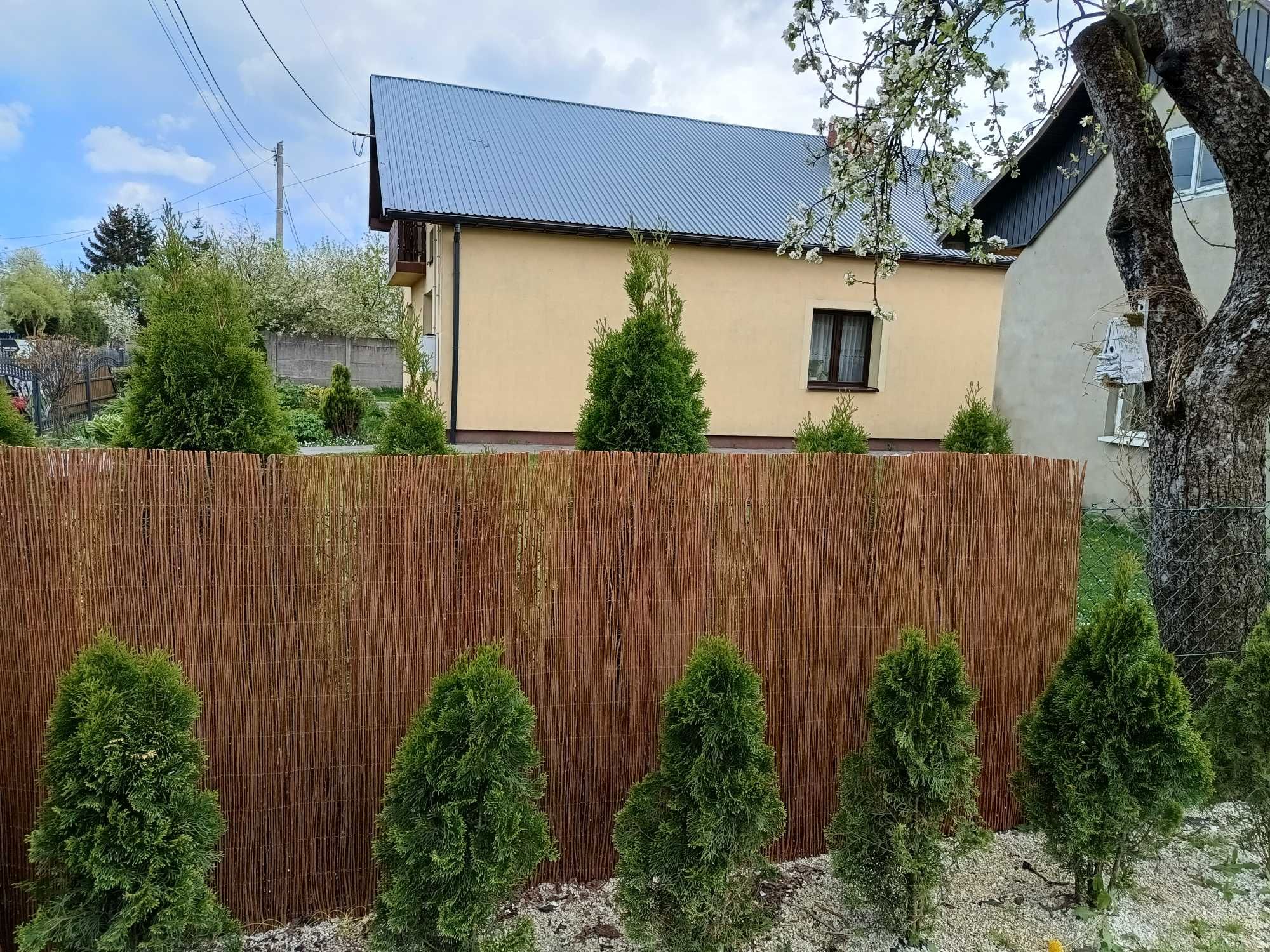 Mata wiklinowa, rolka z wikliny 5 m o wysokości do 200cm